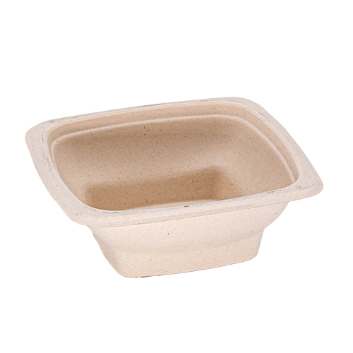 WEBAbowl Bagasse Hot2go für 500ml.