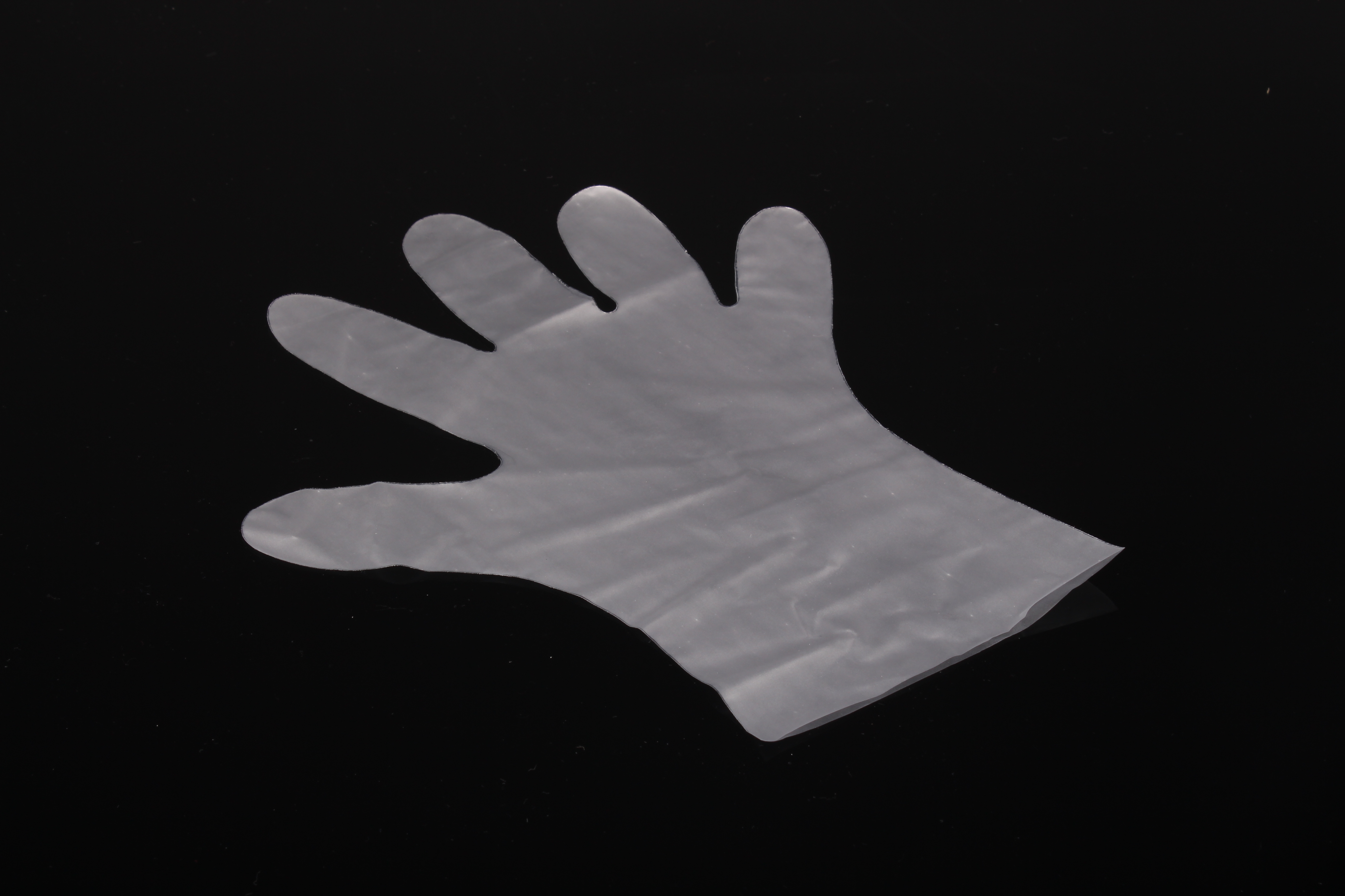WEBAdry TPE-Handschuhe transparent,