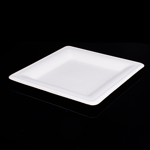 Teller aus Pflanzenfasern 20x20x1,5mm