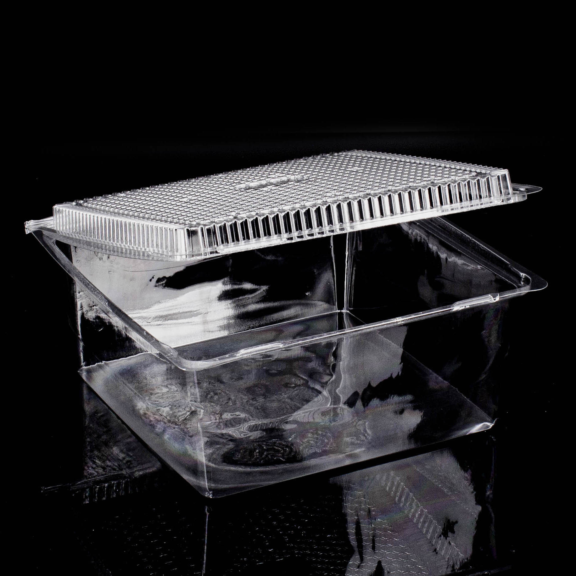 WEBAbox cake box (APET) 190x190x100mm WEBAbox Kuchenbox (APET) 190x190x100mm