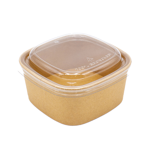 WEBAbowl Salatschale quadratisch, 600ml